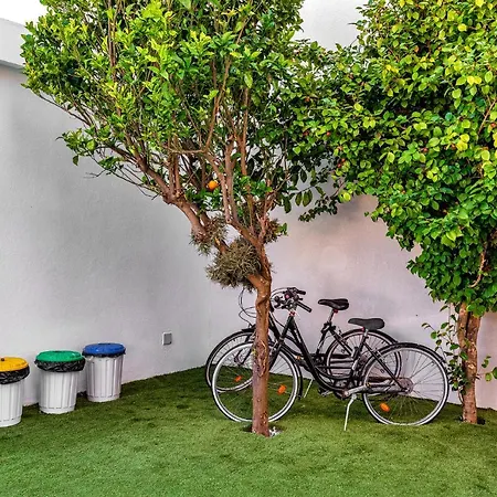 ベッド・アンド・ブレックファスト Ilheu 25 House